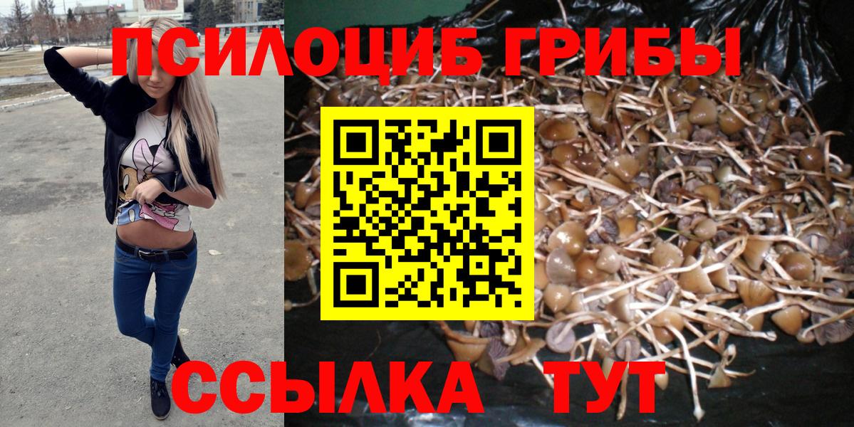 как найти закладки  Галлюциногенные грибы MAGIC MUSHROOMS  Вход с VPN  Жуковский 
