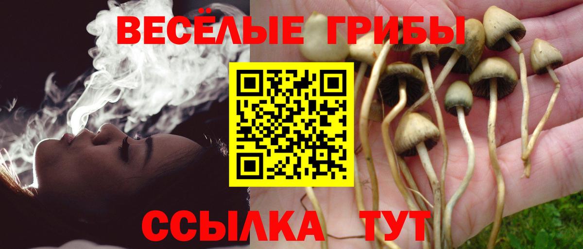 Галлюциногенные грибы MAGIC MUSHROOMS Жуковский